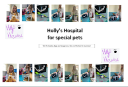 Holly’s Hospital for Special Pets